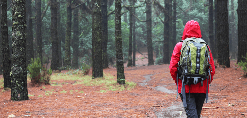 在树林中行走的女人，穿着红色的夹克，它是阻水的
